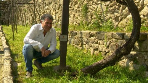 La matriarca de Marqués de Vizhoja