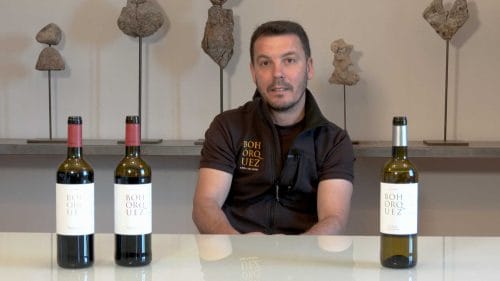 Cata de verdejo, crianza y reserva