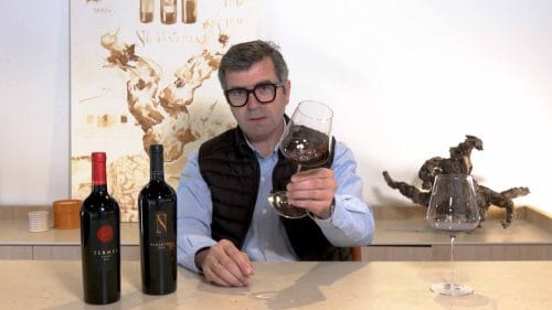 Cata de Termes 2021 y Numanthia 2019