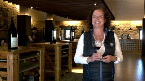 Cata de Blanco y Tinto