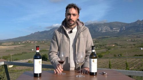 Cata de Finca la Reñana