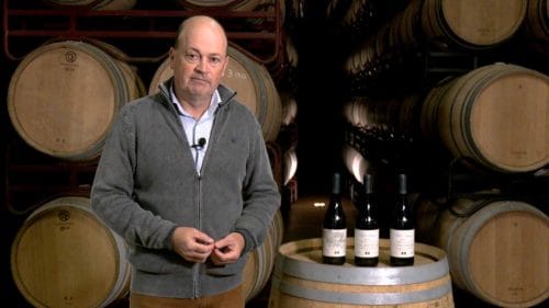 Cata vinos Viña Muriel