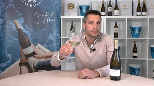Cata de Joven Albariño