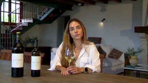 Cata de José Pariente 2024