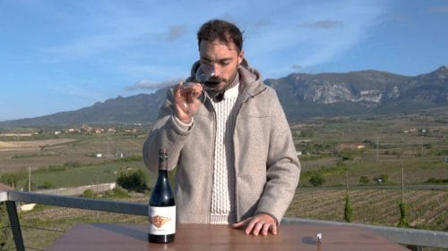 Cata de Parcela Nº5