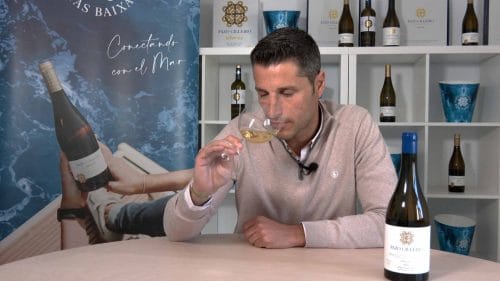 Cata de Viñedo Cincuentenario