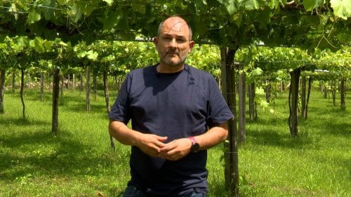 El cultivo de Paco y Lola